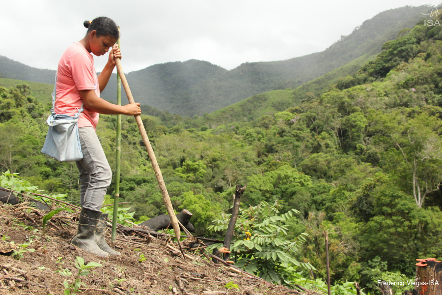 Quilombolas fazem 'rodízio' de plantações para preservar o solo do