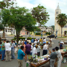 Primeira feira de troca de sementes e mudas de plantas tradicionais dos quilombos do Vale do Ribeira