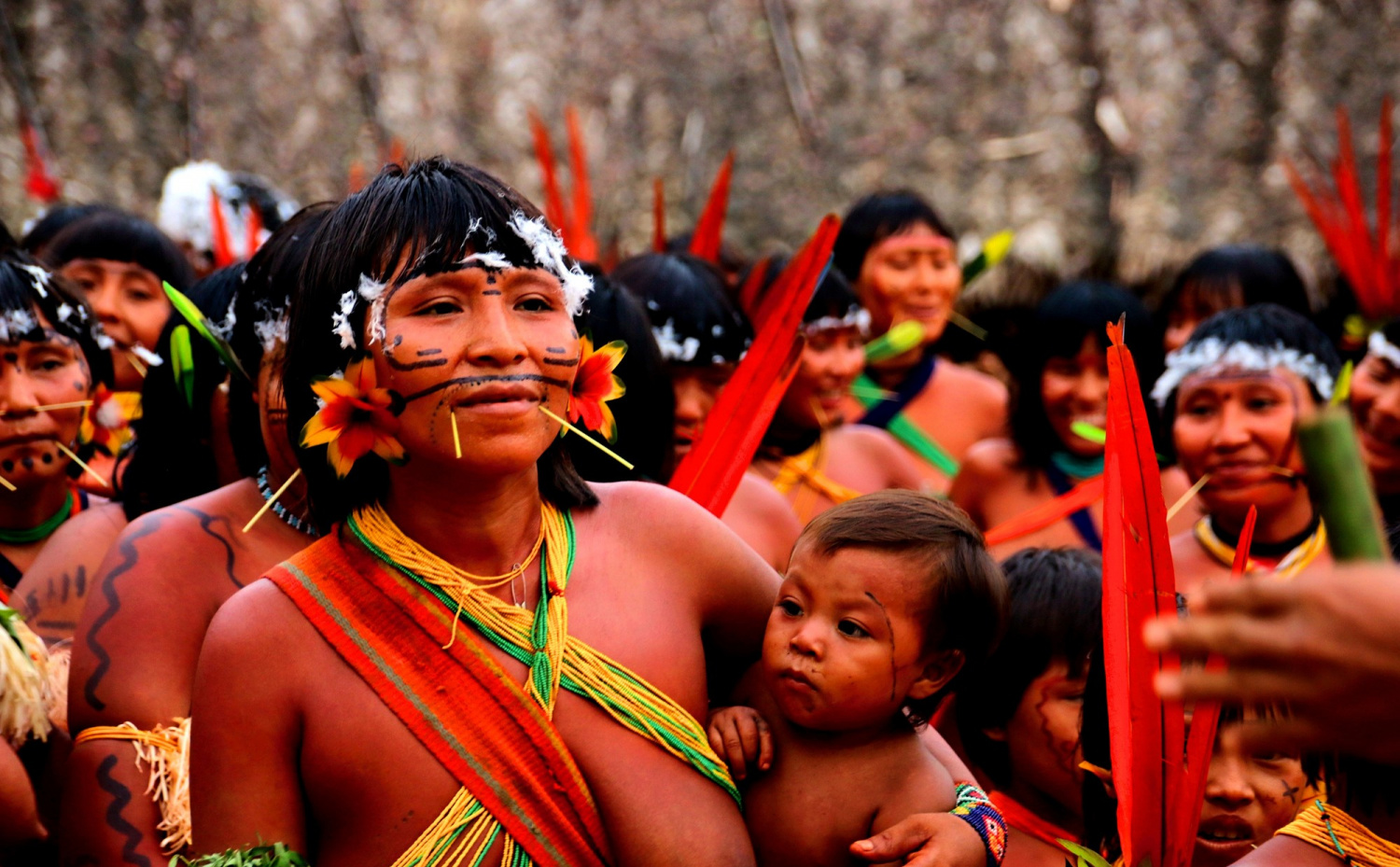 Ehuana Yanomami, fortalecendo os conhecimentos tradicionais e defendendo  seu território! | ISA - Instituto Socioambiental