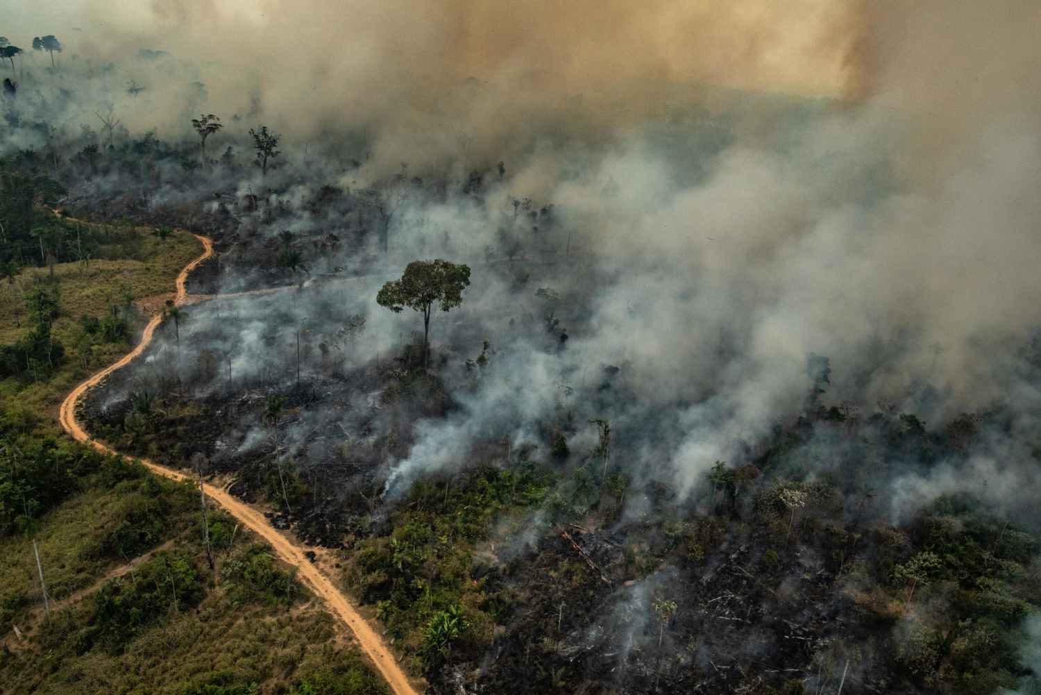 DF emite alerta para queimadas até o fim do período de seca na