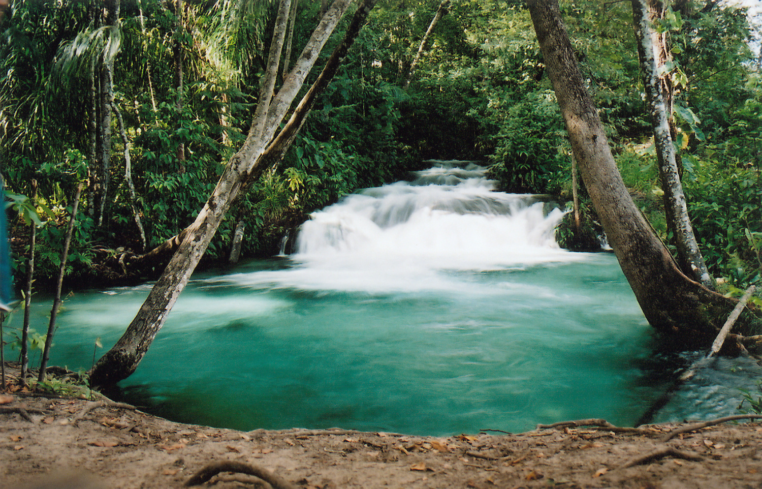 Piscinas da Água Mineral fechadas há dois anos - DF notícias