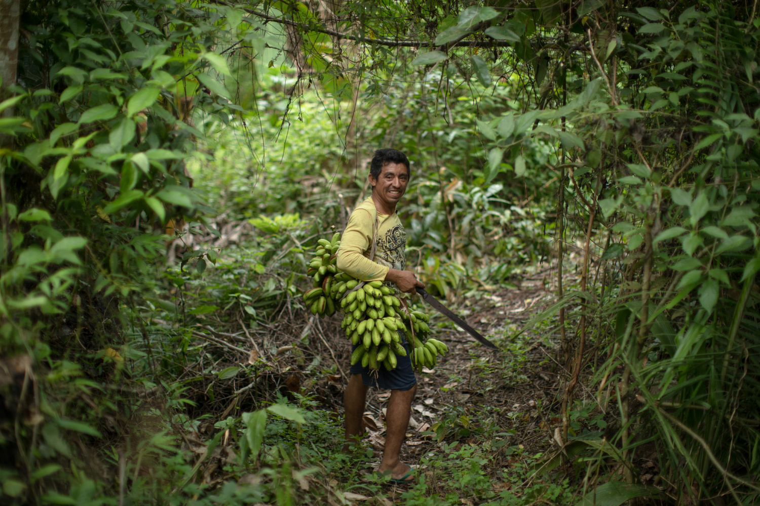 Sooretama poderá receber o título de Capital Nacional do Café